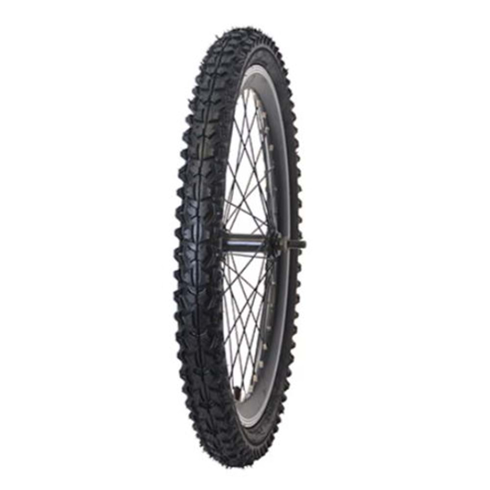 RAPTOR 20X1,125 DIŞ LASTİK