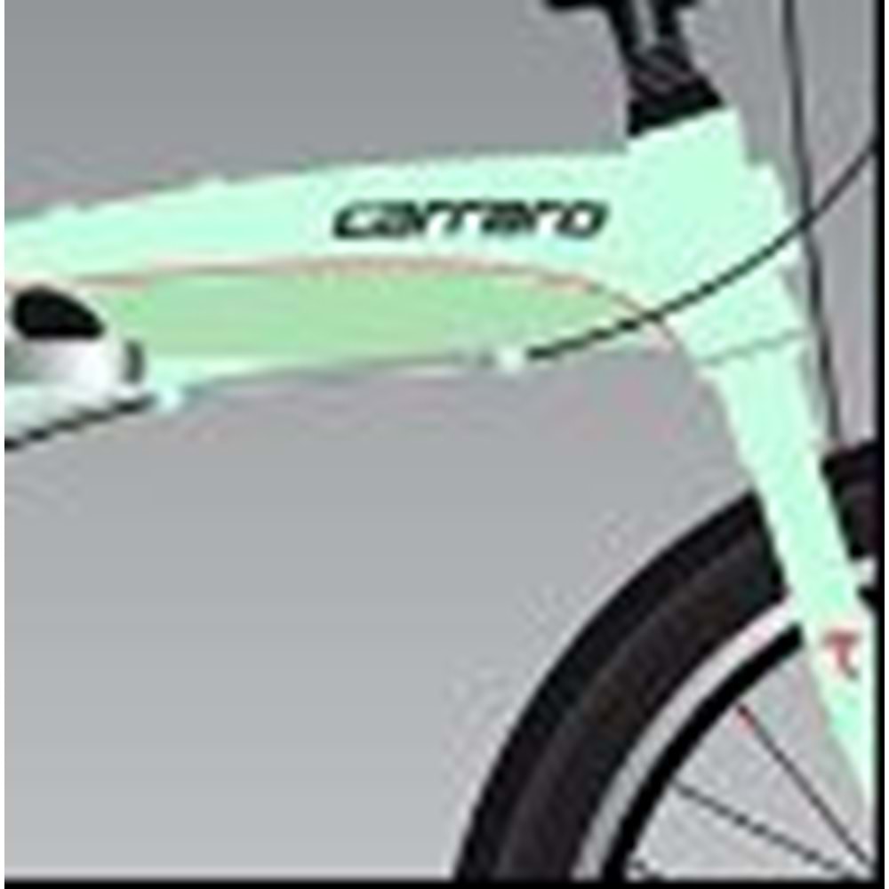 CARRARO FLEXİ 108 8 VİTES KATLANIR BİSİKLET - AÇIK YEŞİL SİYAH KIRMIZI - STANDART